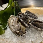 銀座うかい亭 - 綺麗で大きな鮑でした