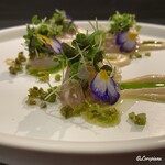 カーサ・デル・チーボ - 松川鰈の椎茸〆に大豆のピュレと菊菜オイル