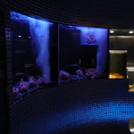 筑紫樓 - エントランス脇の水槽