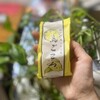 島ごころ セトダ - 