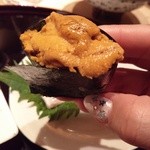 鮨 ひろかわ - 今治の黒ウニ握り