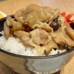 プリムローズ - 