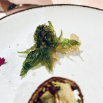 リストランテ ピノキオ - 摂りたてのフキノトウのフリッター　byまみこまみこ