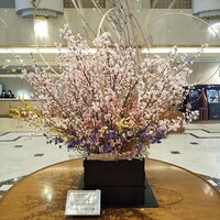 日本料理 瀬戸内 - 