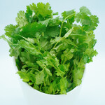 Herb (cilantro)
