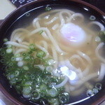 立花うどん - 温玉うどん(300円）