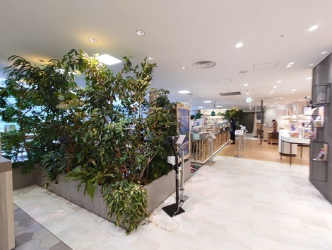 Malebranche Roman no Mori Cafe Jei Aru Kyoto Isetan Ten photo 5