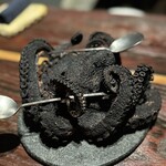 MAZ - スプーン置きのタコのはく製(食べられない)