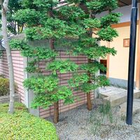 木山 - 
