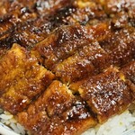 炭焼き うなぎ 喜多川 - さらにアップ