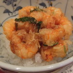 天ぷら わかやま - 芝海老