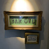 BAR Owl - 