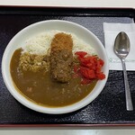 本家絶品！ 煮込みカツカレーの店 - 