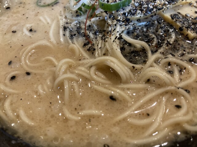 Nagoya Tonkotsu Sanpo Tekinashi photo 2