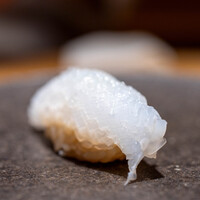 くるますし - 2024.2 愛南町産アオリイカ