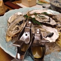 桂 - セルかき