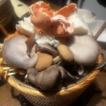 裏の山の木の子 渋谷 - 