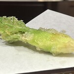 天冨良 麻布よこ田 - タラの芽