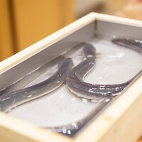 三宅輝 - 