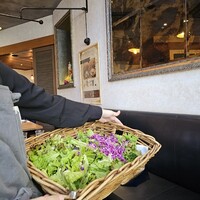 BISTRO FAVORI 代官山 - 