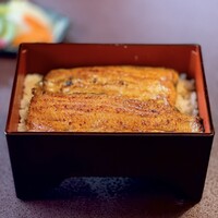 うなぎ 明月川 - うな重　特上