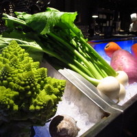 MAIMON GINZA - 