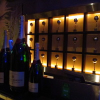 MAIMON GINZA - 