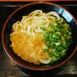 236042972 - かけうどん(小) (税込)290円 ※ねぎと天かすは自らトッピング (2024.02.22)