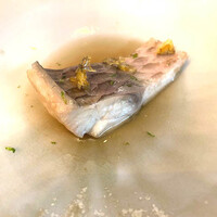 UNE IMMERSION - 鯉
