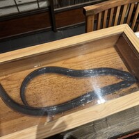 にょろ助 銀座 - 