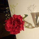 アクア パッツァ 広尾 - 