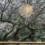 手打蕎麦むら岡 - 