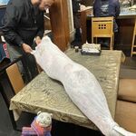 インド・パキスタン料理 アルバラカ - 