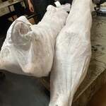 インド・パキスタン料理 アルバラカ - 