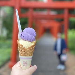 ミッシュハウス_0