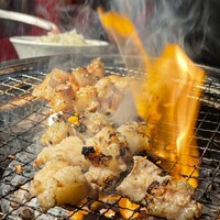 老舗精肉店直送 千種焼肉 飛騨牛の奴隷 千種店 - 