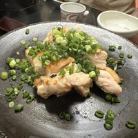 博多水炊きと焼き鳥 鳥善 銀座店 - 