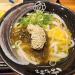 Hanamaru Udon Midori Nagano Ten