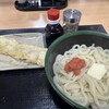 さか枝うどん 南新町店