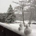 グランディッシュ - 2月23日朝の風景客室バルコニーより。