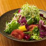farm green salad