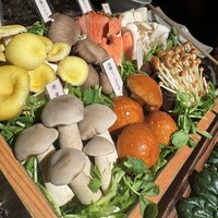 Shangri-La's secret ROPPONGI - 