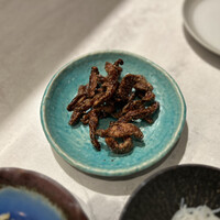 CINA New Modern Chinese - 