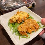 Kono Shima No Daichi - ブランド鶏料理もおすすめ