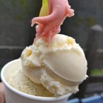 アミ コーノ - 自然栽培きなこと焼き芋の組合わせ