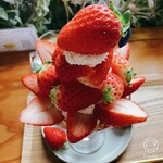 グレープショップ ココロ - てっぺんに大きなことひめ