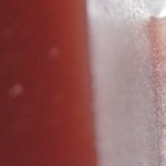 「ねりようかん」切った断面です。ちょっとボケました。（2014/1/13UP）