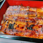 Unagi Konaya - 