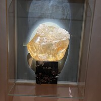 中国飯店 富麗華 - 