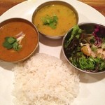 インド富士 - インド富士セット。ブリカレーとネギダルをチョイス。